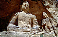 Conservation Image