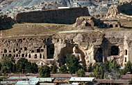 Conservation Image