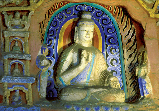 Conservation Image