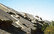 Conservation Image