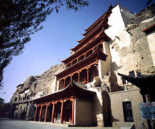 Conservation Image