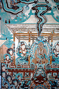 Conservation Image