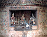 Conservation Image