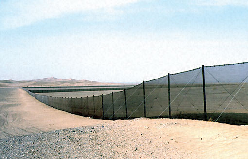 Conservation Image