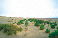Conservation Image