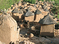 conservation image