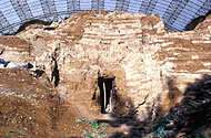Conservation image