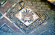 Conservation image