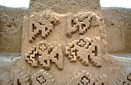 Conservation image