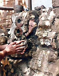 Conservation image