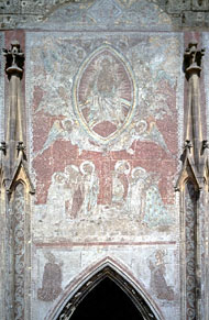 Conservation image