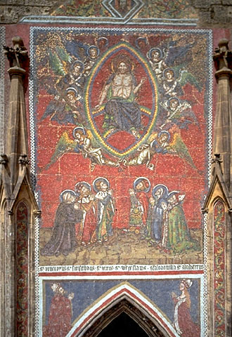 Conservation image