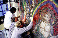 Conservation image