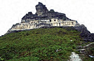 Conservation Image