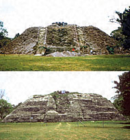 Conservation Image