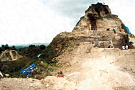 Conservation Image