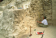 Conservation Image