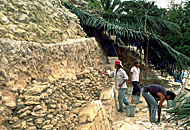 Conservation Image