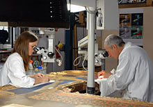 conservation image