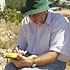 About GCI Field Projects