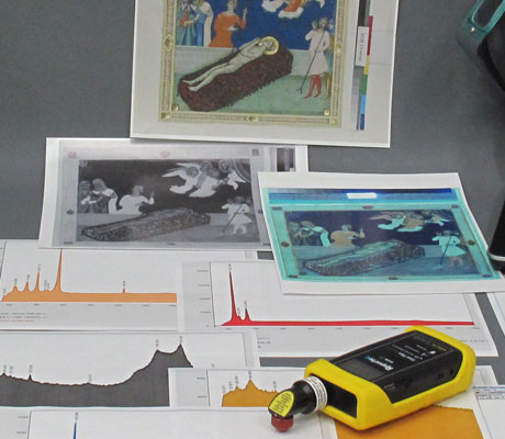 DISCO: Data Integration for Conservation Science