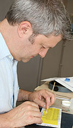 conservation image