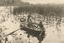 Peter Henry Emerson / Gathering Water-Lilies