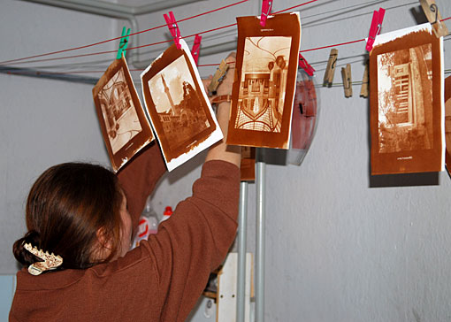 Conservation image