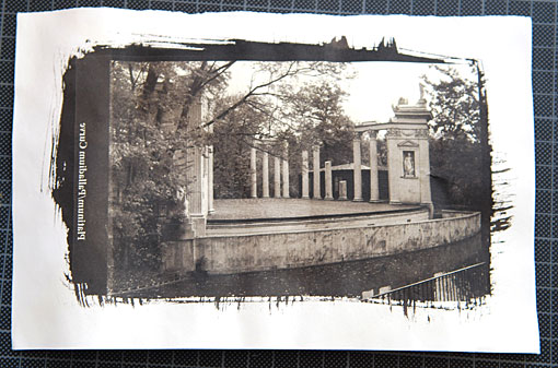 Conservation image