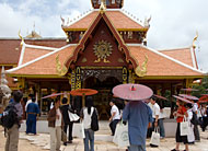 conservation image