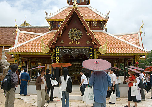 conservation image