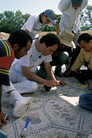 Training of mosaic technicians
