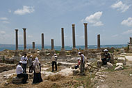 conservation image
