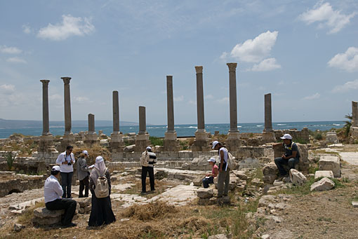 conservation image