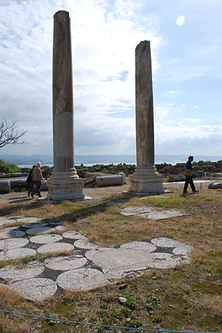 Remains of mosaic pavements