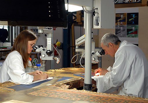 conservation image