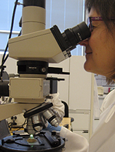 conservation lab