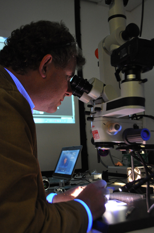 examining lacquer samples in lab