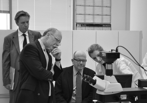 discussing staining of lacquer samples