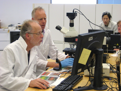 workshop participants