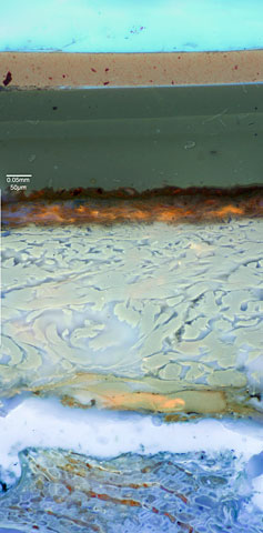 cross section of lacquer