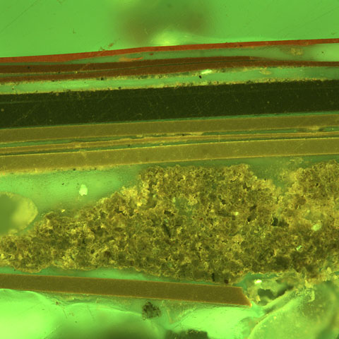 cross section of lacquer layers