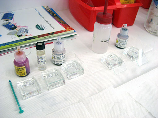 materials used for staining technique