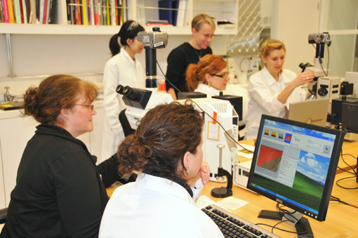 workshop participants