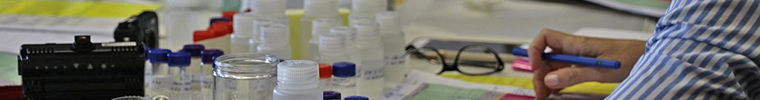 Research Into Practice Initiative Research Into Practice Initiative