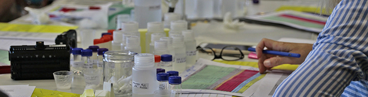 Research Into Practice Initiative