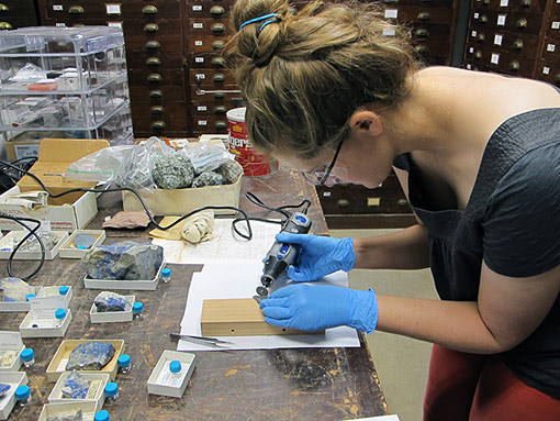 Conservation image