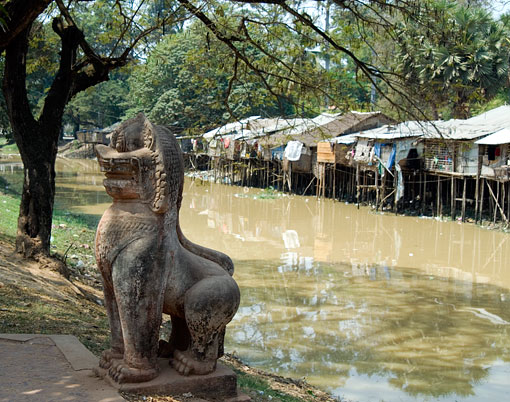 conservation image