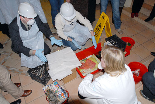 conservation image