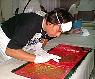 conservation image